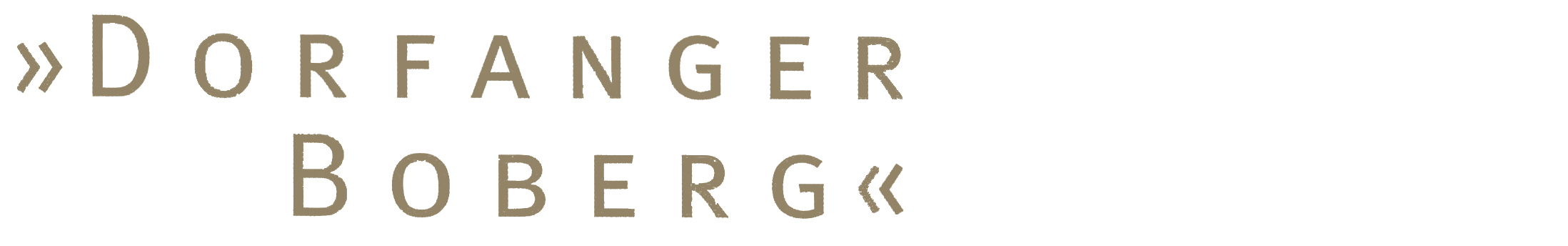 2001_DorfangerBoberg_Buch